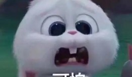 南京网红吃瓜事件真相视频,还原事件始末