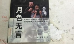 月色无言在线观看,沉浸式在线观影之旅