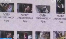 如何向中央新闻爆料