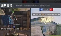 和平精英美国爆料视频,游戏内幕与全球玩家热议