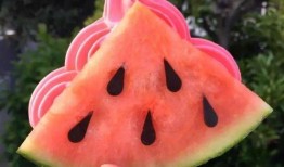 网红吃瓜总结,揭秘娱乐圈幕后真相