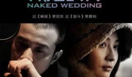 裸婚时代 在线观看,揭秘现代都市爱情与婚姻的抉择