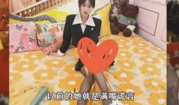 百万网红爆料视频大全最新,揭秘网络红人幕后真相