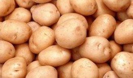 以藏在线观看土豆网,土豆网带你在线畅游