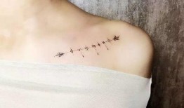 纹身女孩网红吃瓜,揭秘网络红人的幕后生活