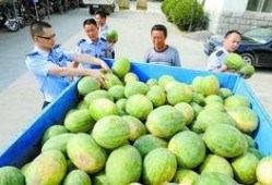 无锡网红吃瓜群微信