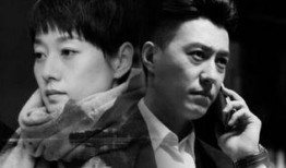 我的前半生电视剧全集在线观看,人生转折点，情感与事业的抉择