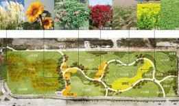 新团本十尾爆料视频,神秘力量觉醒，团战新篇章即将开启