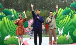 周老板最新爆料视频大全,揭秘幕后真相，带你走进事件核心