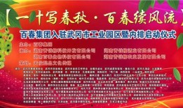 武冈新闻爆料事件始末,真相追踪与舆论漩涡