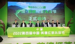 英德八中爆料新闻视频,揭秘校园内幕