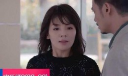 欢乐颂32集在线观看,剧情高潮迭起，人物命运再掀波澜