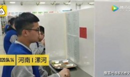 小学生爆料视频,爆笑视频背后的真实校园生活
