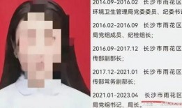 新闻爆料不雅聊天,揭秘背后惊人内幕