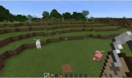 我的世界屏蔽门最新爆料,Minecraft最新屏蔽门功能曝光，游戏体验再升级！
