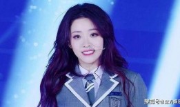 爆料娱乐圈喻言小说,喻言的璀璨星途