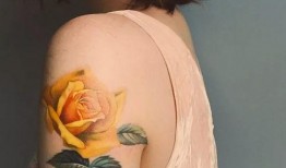 纹身女孩网红吃瓜,揭秘网络红人的幕后生活