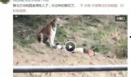 雅戈尔动物园爆料视频,揭秘动物世界的真实生活