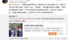 云南林可可爆料新闻事件,揭开神秘新闻事件背后的真相