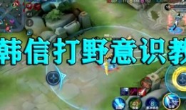 打野忍者爆料视频大全,揭秘游戏幕后精彩瞬间