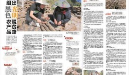 竹山农香最新爆料新闻,最新爆料新闻背后的真相