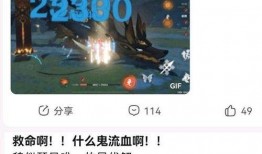 最新爆料原神如何出金,最新爆料揭示金生成秘密