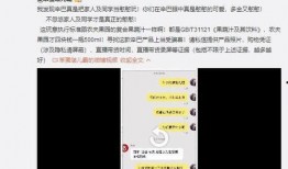 辛巴热点爆料视频下载,揭秘幕后真相，带你走进事件核心