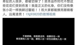 黄景瑜被爆料语音视频在线观看,揭秘明星私生活瞬间