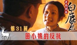 白鹿原31集在线观看,揭秘家族纷争背后的惊人真相