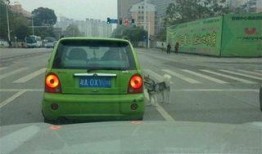 江先生最新爆料,揭秘娱乐圈惊天秘密！