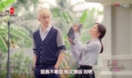 一吻定情泰国版在线观看,浪漫爱情故事，甜蜜邂逅等你来见证