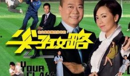 尖子攻略在线观看,揭秘高效学习之道