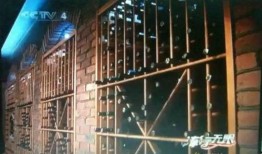 玻璃大王爆料视频,行业内幕与未来趋势深度解析