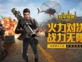 和平精英美国爆料视频,游戏内幕与全球玩家热议