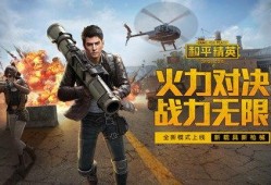和平精英美国爆料视频,游戏内幕与全球玩家热议