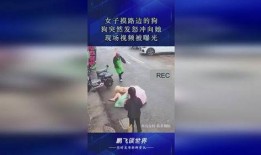 爆料发怒的视频,一场网络风波的发酵与反思