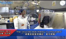 病毒实验室爆料视频