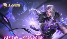 司马皮肤爆料视频最新,揭秘神秘角色背后的故事与设计理念