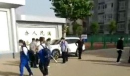 河北爆料学生上学视频,真实校园生活引关注