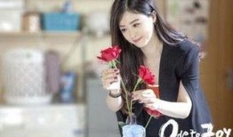 欢乐颂32集在线观看,剧情高潮迭起，人物命运再掀波澜