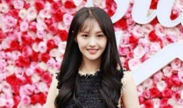 郑爽最新消息爆料新闻直播,直播揭露惊人内幕，娱乐圈风云再起