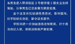 西南交通大学爆料新闻,揭秘校园风云事件背后的真相