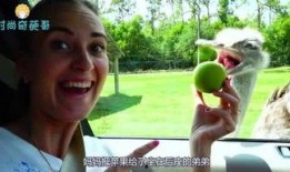 生活奇葩爆料胖哥视频,揭秘日常生活中的奇葩爆料瞬间