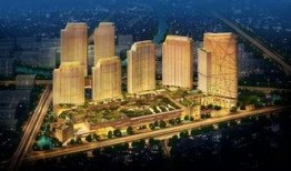 诸城半岛爆料最新消息今天,今日热点事件深度解析