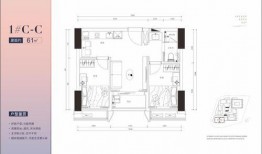 cfm回力活动最新爆料,全新爆料揭秘，精彩不容错过！