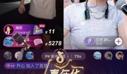 胜仔海莉最新爆料,揭秘娱乐圈背后的惊人真相！