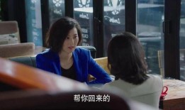 我的前半生电视剧全集在线观看,人生转折点，情感与事业的抉择