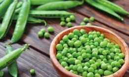 爆料人工剥毛豆视频播放,视频曝光幕后辛酸