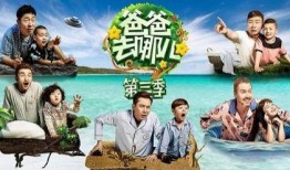 爸爸去哪第二季在线观看,重温亲子时光！