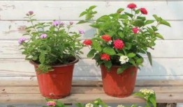 美容院最新爆料录音视频,录音视频揭露行业惊人内幕